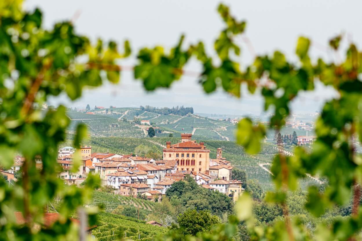 Bedste Barolo Rødvine i 2023