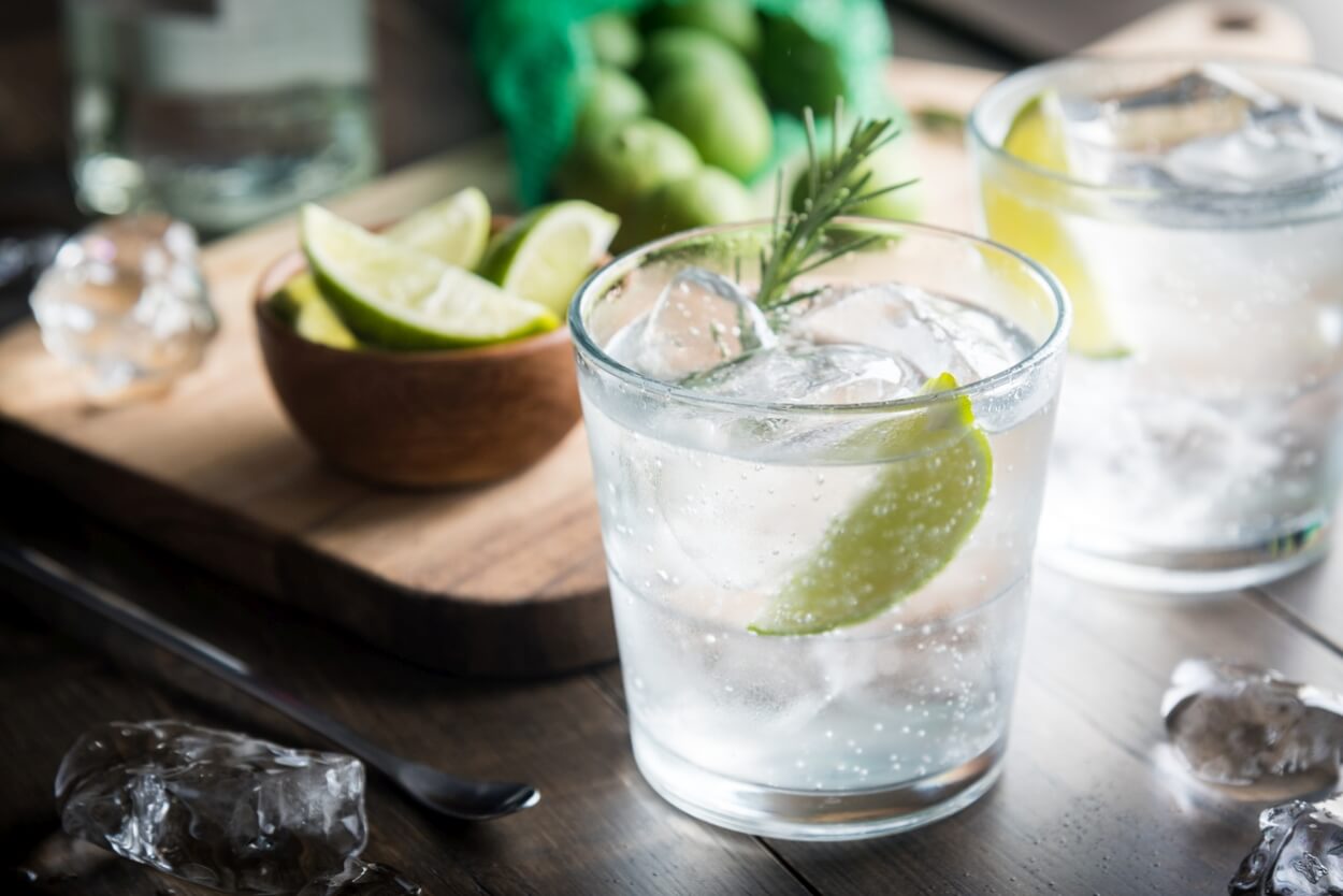10+ Bedste Gin i 2025