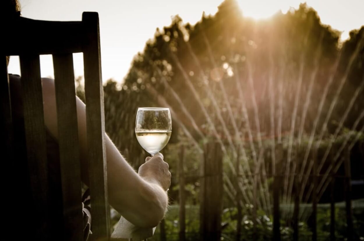 Bedste Sommervine i 2023