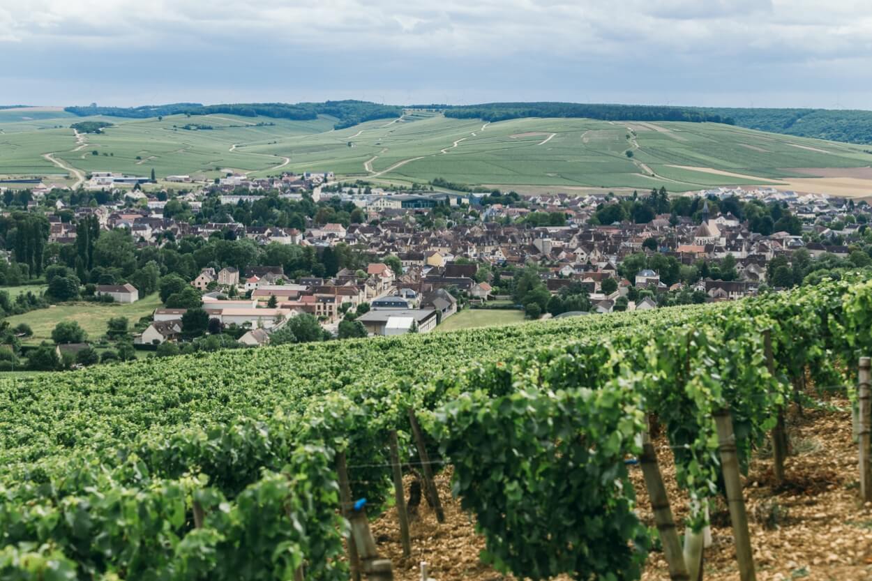 4 Bedste Chablis Hvidvine i 2023
