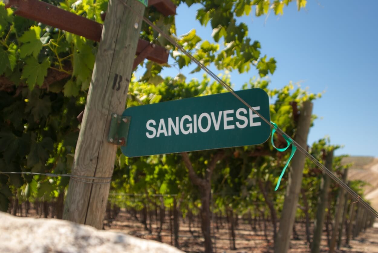 6 Bedste Syrah Sangiovese i 2023
