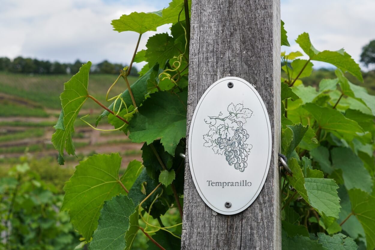 Bedste Tempranillo Sangiovese i 2025