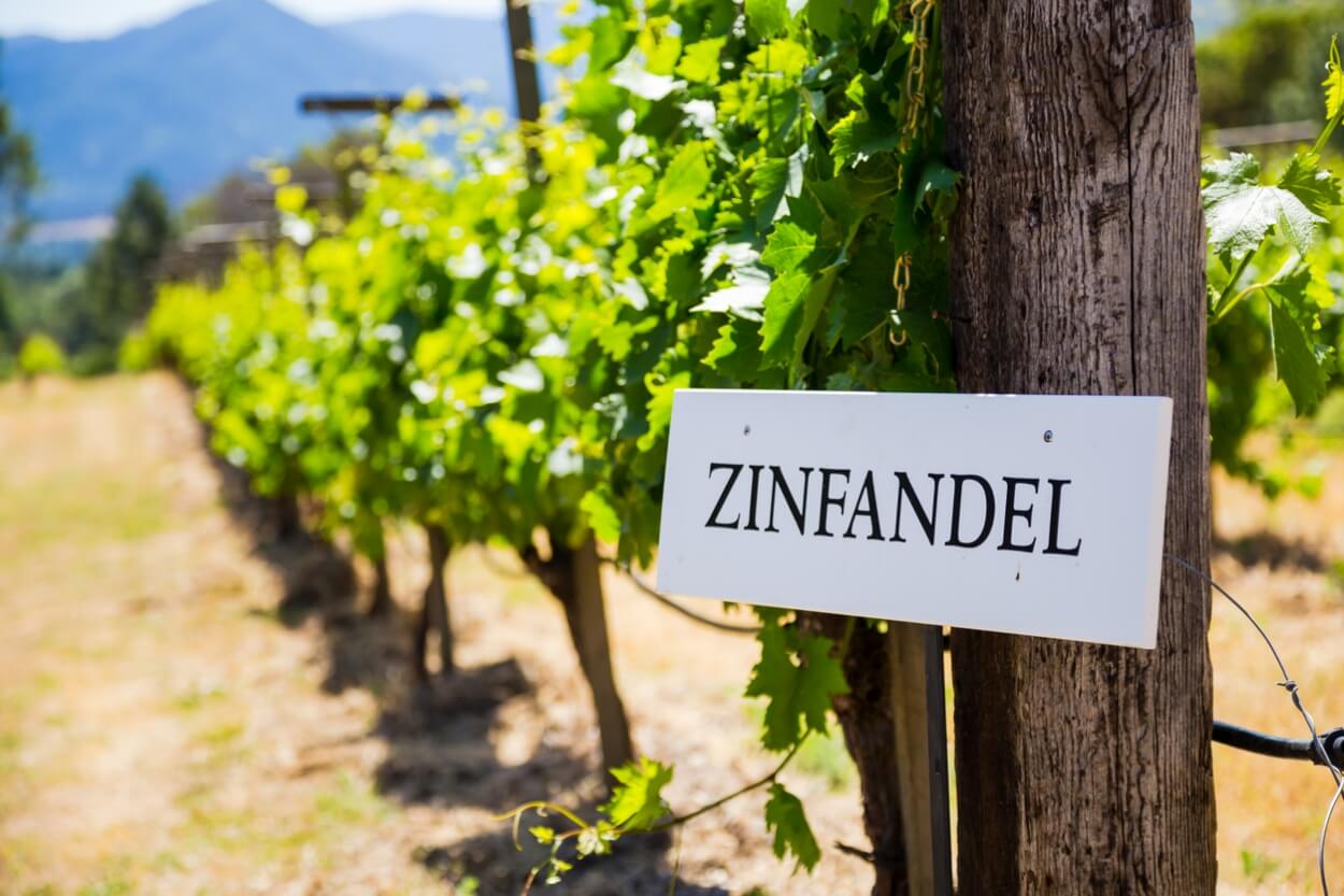 5 Bedste Zinfandel Rødvine i 2023