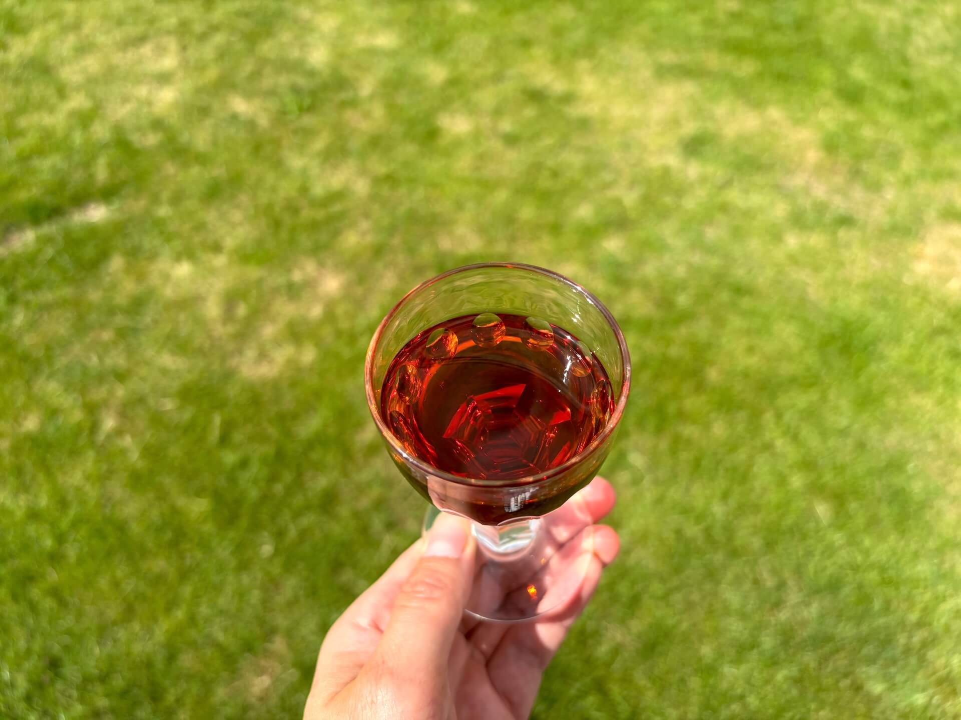 Glas med Enólogo Jagtportvin Parade oppefra