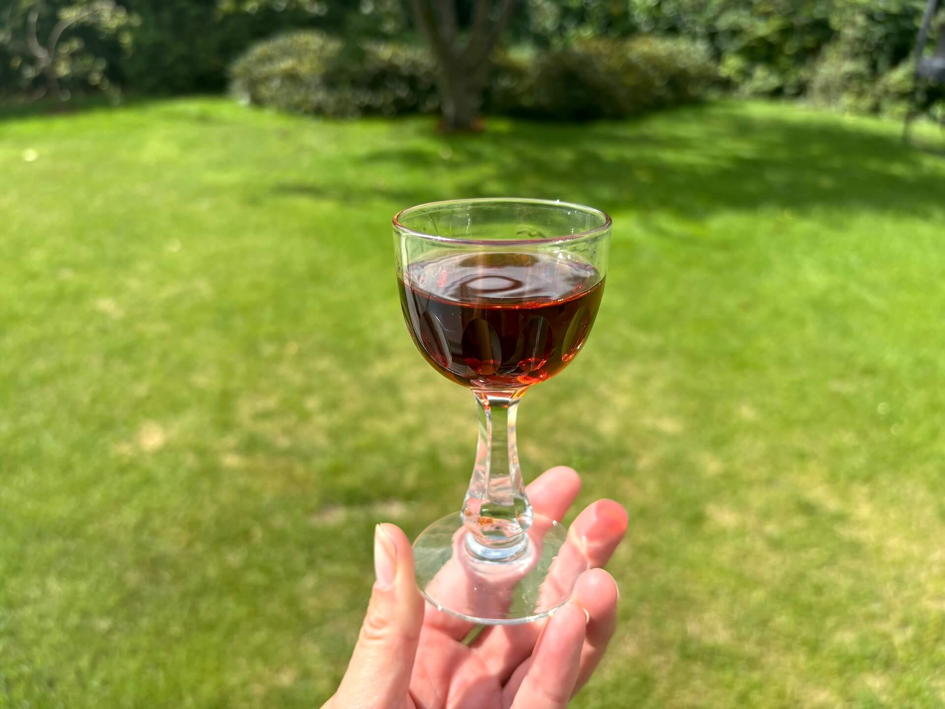 Glas med Enólogo Jagtportvin Parade