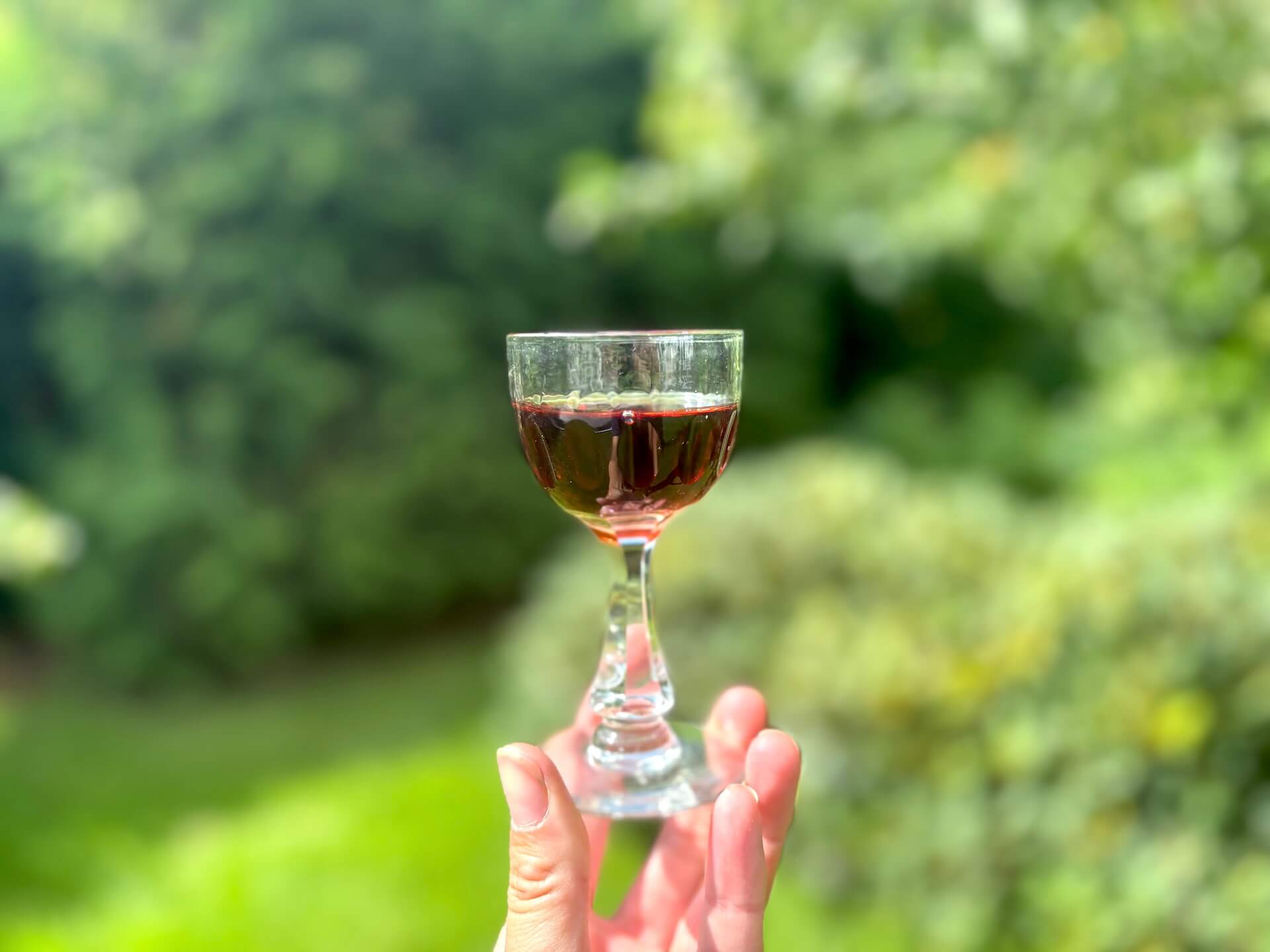 Glas med Enólogo Jagtportvin Parole